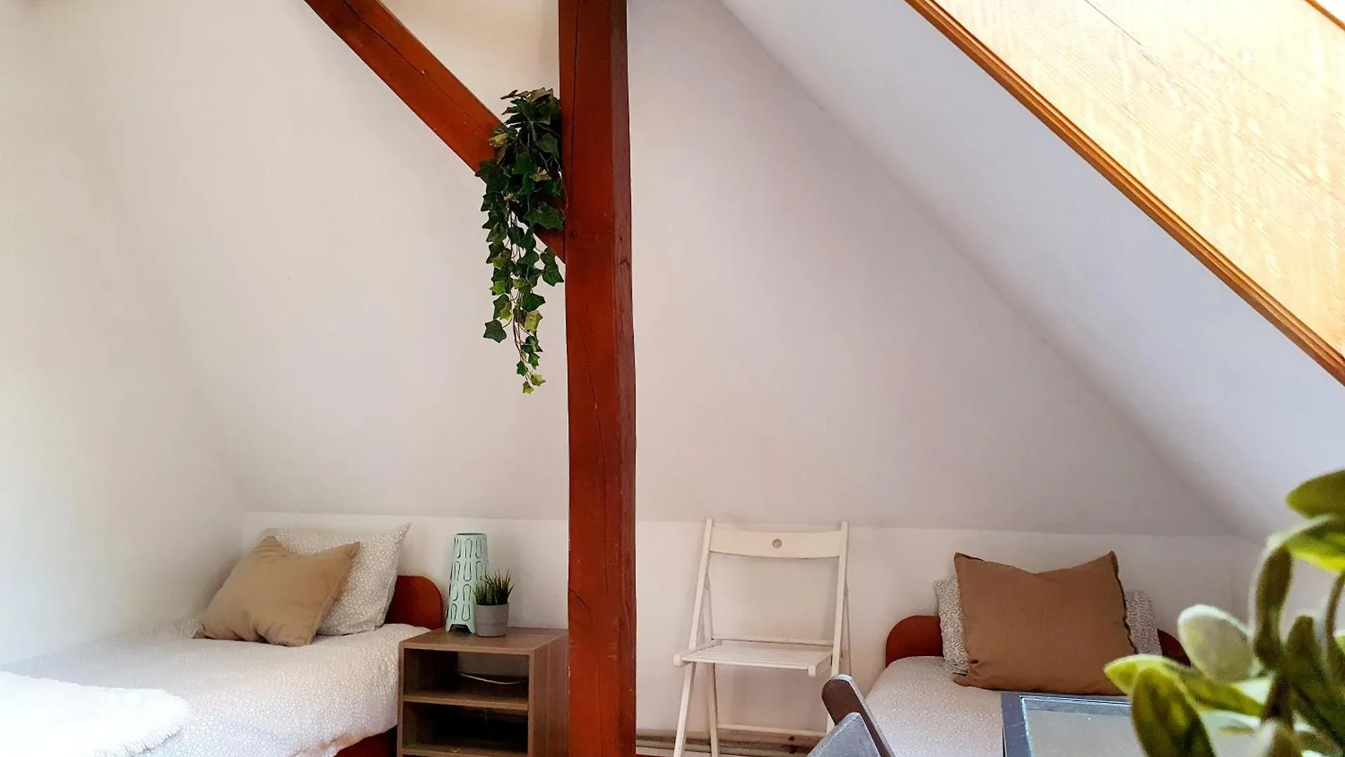 Homestay Hostel Majowysopot44 Poland